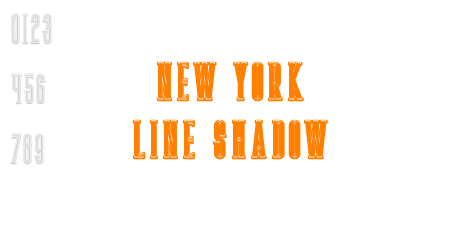 New york line shadow