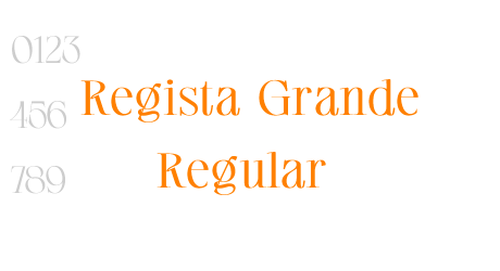 Regista Grande Regular