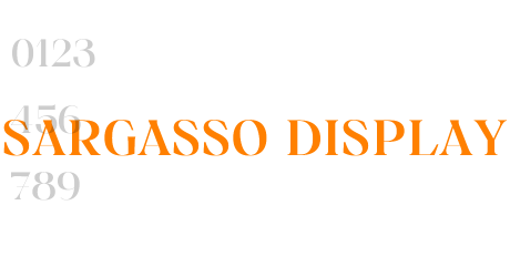 Sargasso Display