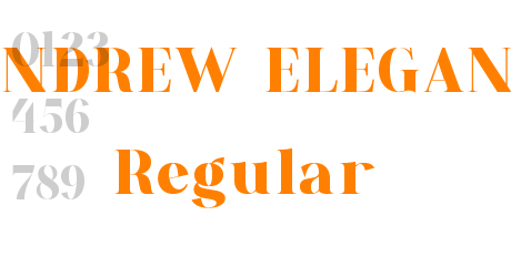 ANDREW ELEGANT Regular