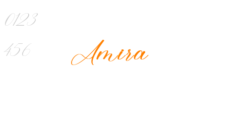 Amira