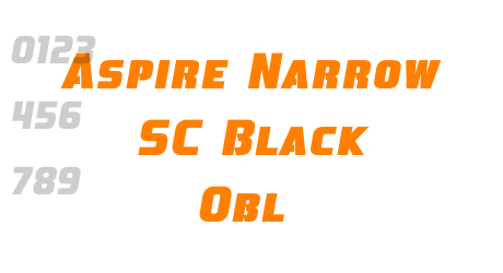 Aspire Narrow SC Black Obl