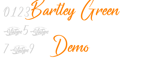 Bartley Green Demo