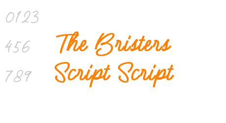 The Bristers Script Script