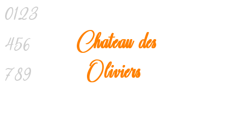 Chateau des Oliviers