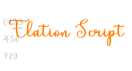 Elation Script