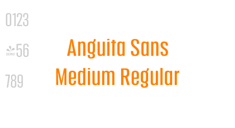 Anguita Sans Medium Regular