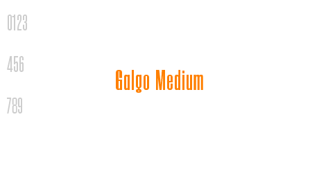 Galgo Medium