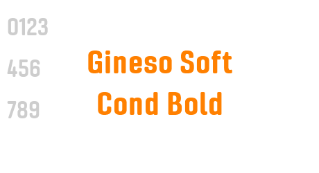 Gineso Soft Cond Bold