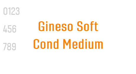 Gineso Soft Cond Medium