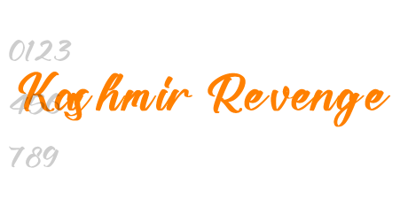 Kashmir Revenge