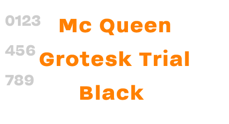 Mc Queen Grotesk Trial Black