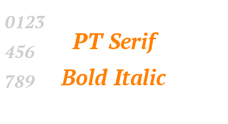 PT Serif Bold Italic