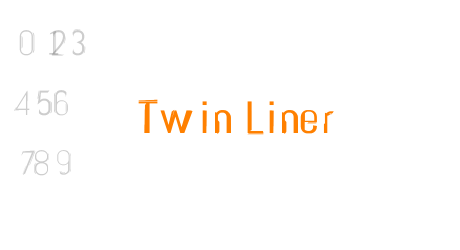 Twin Liner
