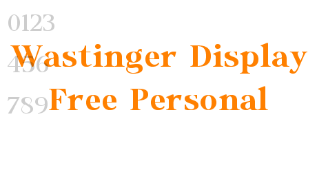 Wastinger Display Free Personal