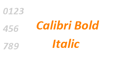 Calibri Bold Italic