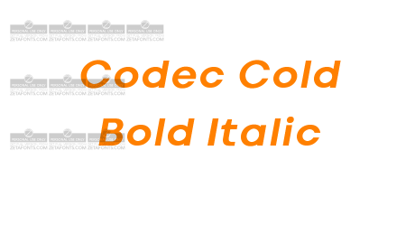 Codec Cold Bold Italic