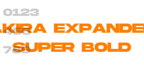 Akira Expanded Super Bold