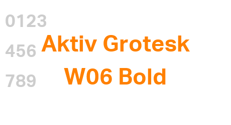 Aktiv Grotesk W06 Bold