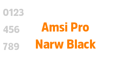 Amsi Pro Narw Black