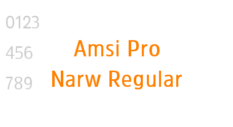Amsi Pro Narw Regular