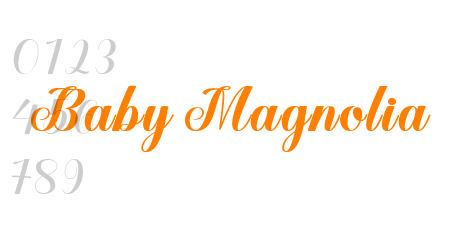Baby Magnolia