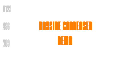 Bayside Condensed Demo