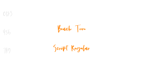 Beach Town Script Regular
