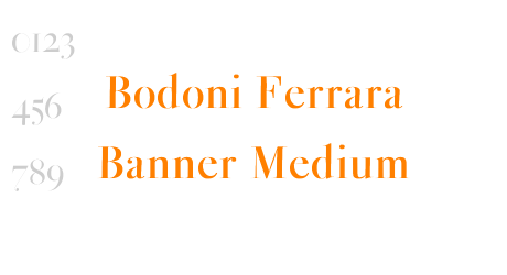 Bodoni Ferrara Banner Medium