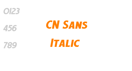 CN Sans Italic