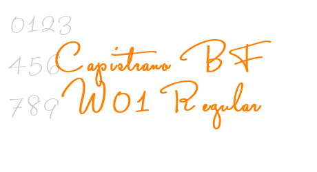 Capistrano BF W01 Regular