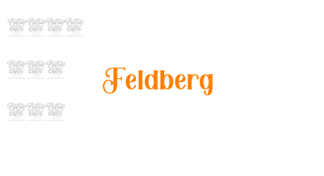 Feldberg