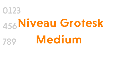 Niveau Grotesk Medium