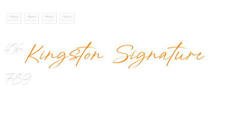 Kingston Signature