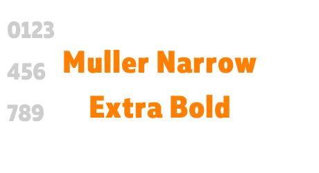 Muller Narrow Extra Bold