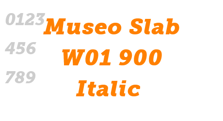 Museo Slab W01 900 Italic