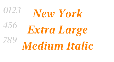 New York Extra Large Medium Italic