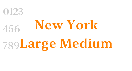 New York Large Medium