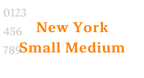 New York Small Medium