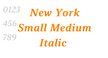 New York Small Medium Italic