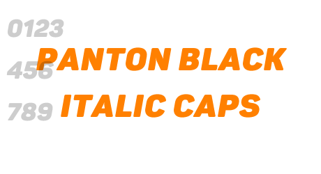 Panton Black italic Caps
