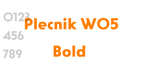 Plecnik W05 Bold