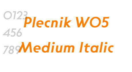 Plecnik W05 Medium Italic