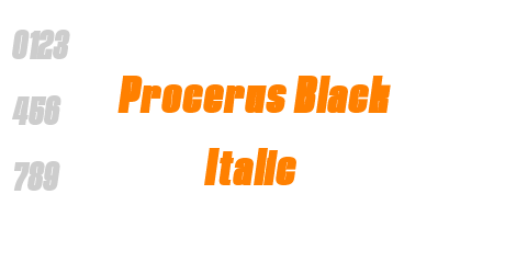Procerus Black Italic