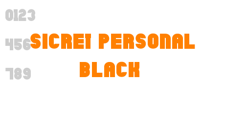 Sicret PERSONAL Black