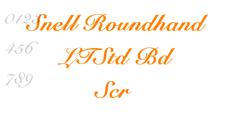 Snell Roundhand LTStd Bd Scr