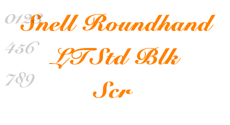 Snell Roundhand LTStd Blk Scr
