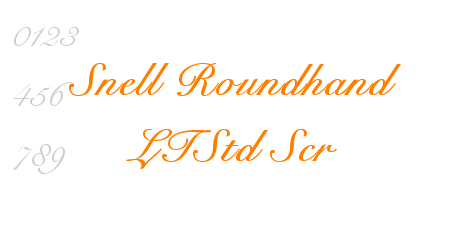 Snell Roundhand LTStd Scr