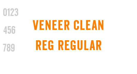 Veneer Clean Reg Regular