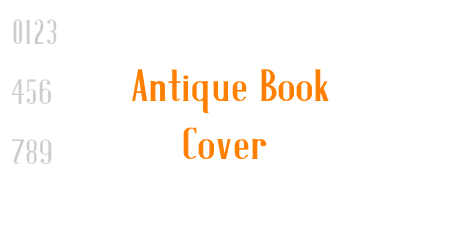 Antique Book Cover